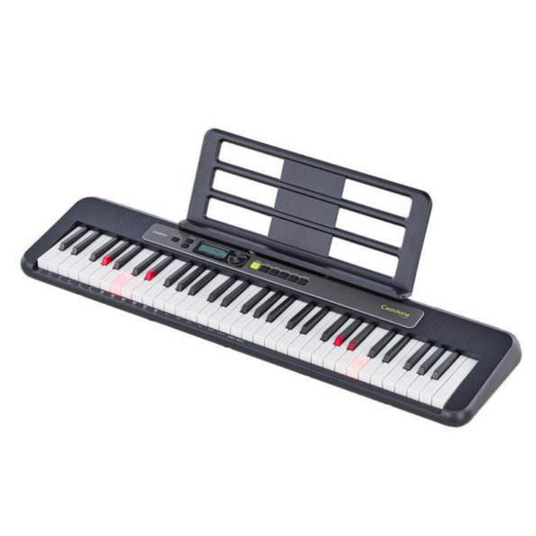 Casio LKS250 keyboard