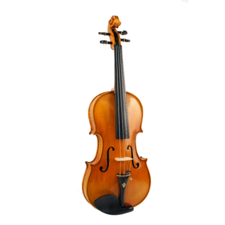 violin