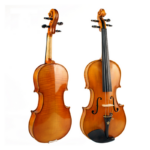 violin