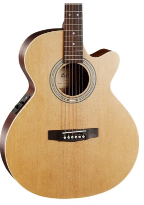 Acoustic Guitar