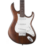 Electric Guitar G100-OPW