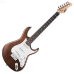 Electric Guitar G100-OPW