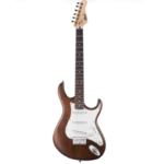 Electric Guitar G100-OPW