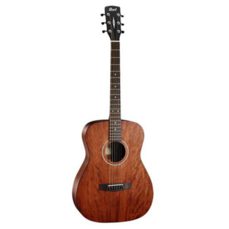 Acoustic Guitar