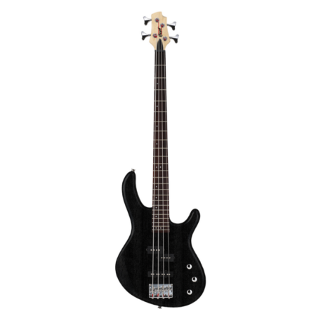 Bass Guitar