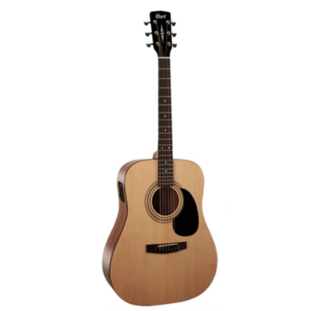 Acoustic Guitar