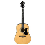 Acoustic Guitar  V50NJP-NT