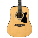 Acoustic Guitar  V50NJP-NT