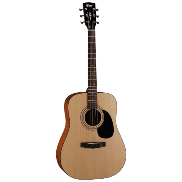 Acoustic Guitar