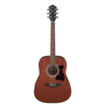 Acoustic Guitar V54NJP-OPN