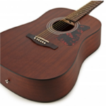 Acoustic Guitar V54NJP-OPN