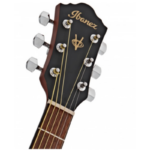 Acoustic Guitar V54NJP-OPN