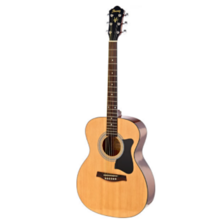 Acoustic Guitar