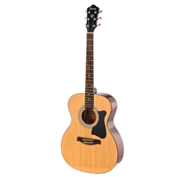 Acoustic Guitar VC50NJP-NT