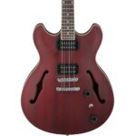 ibanez-as53-trf-1_grande