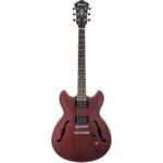 ibanez-as53-trf-1_grande